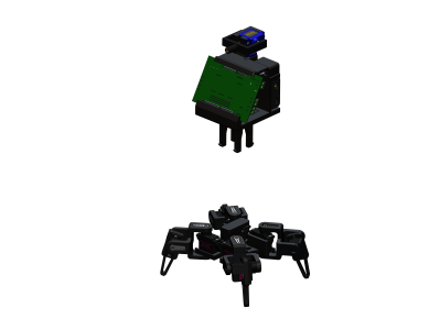 Araña 1.PNG